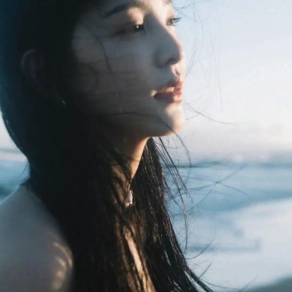 隐藏的面孔 海报