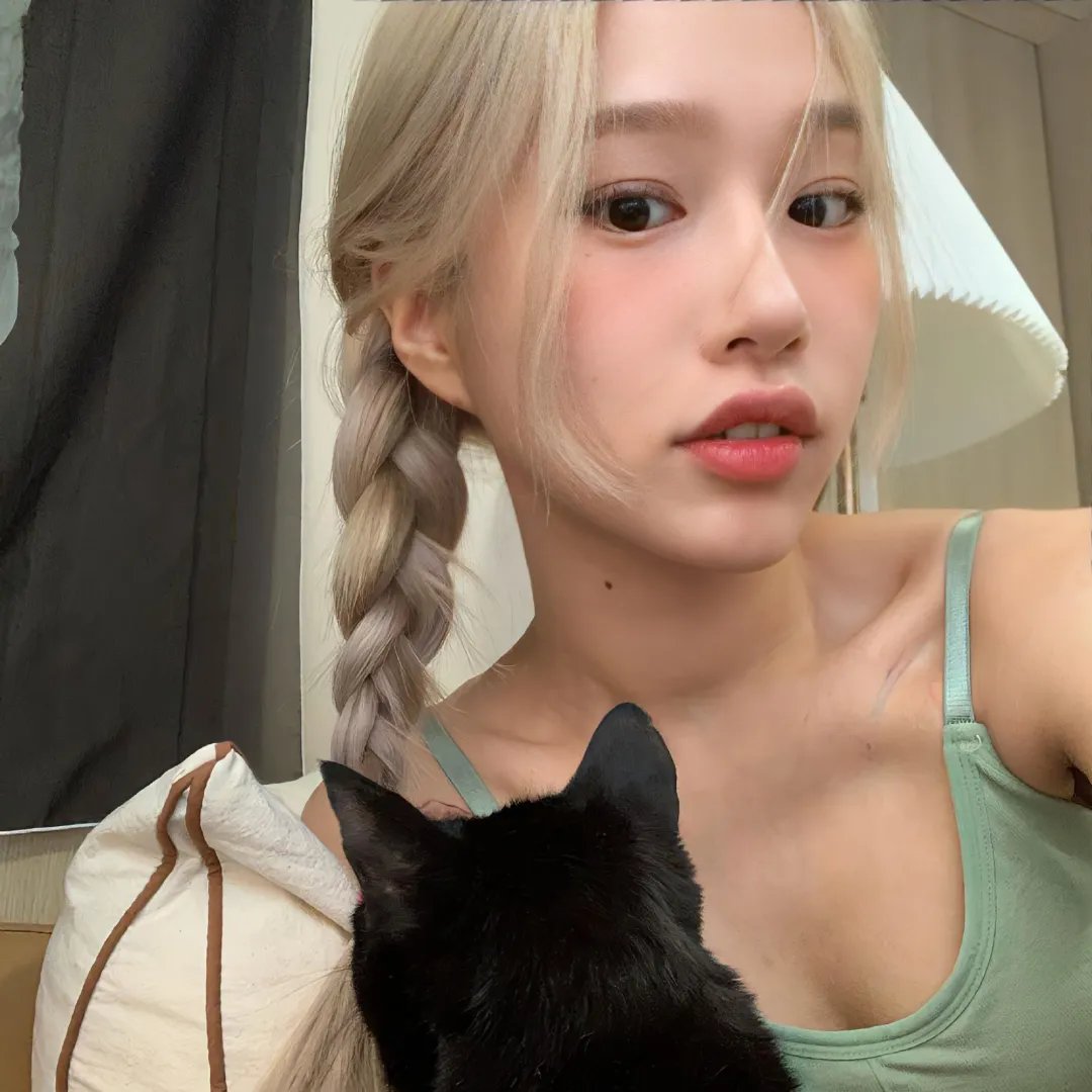 十二猴子 海报
